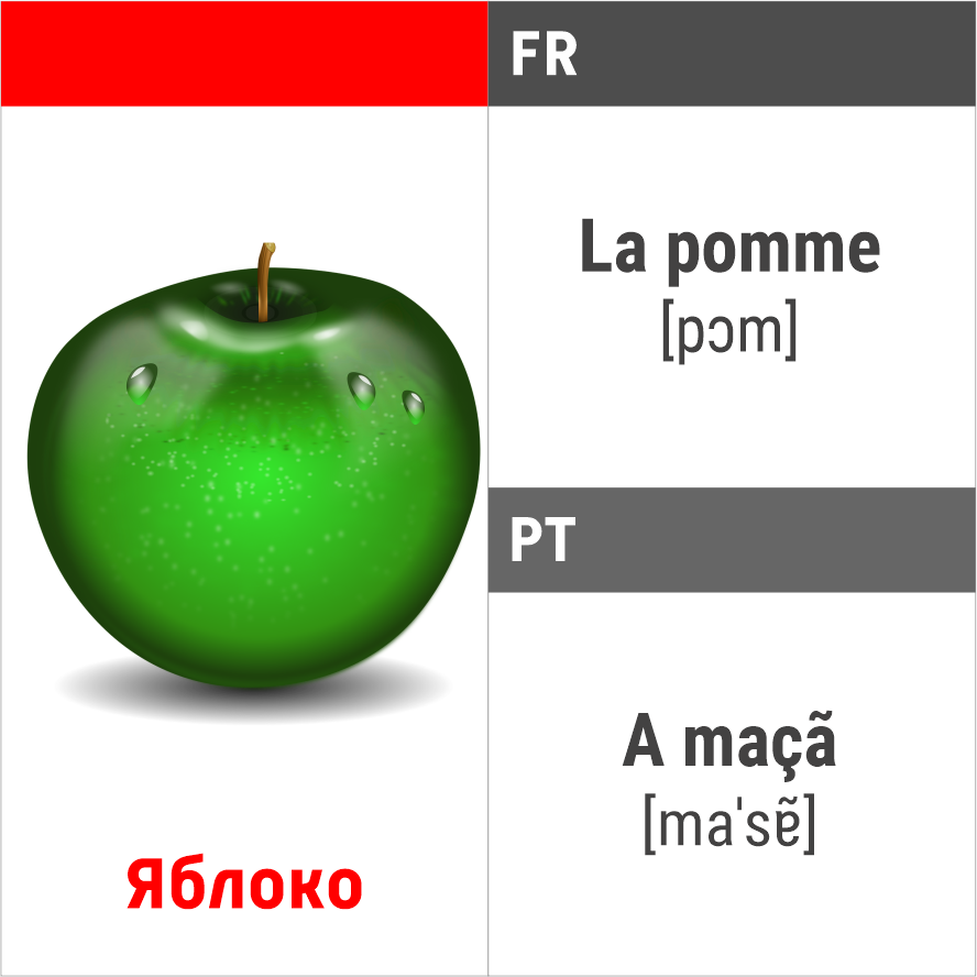 Французский и португальский языки: Урок 1 (320 карточек) | Индиго-Полиглот