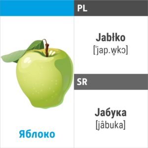 Лексические билингвальные карточки Индиго-полиглот Урок 1 польский и сербский языки