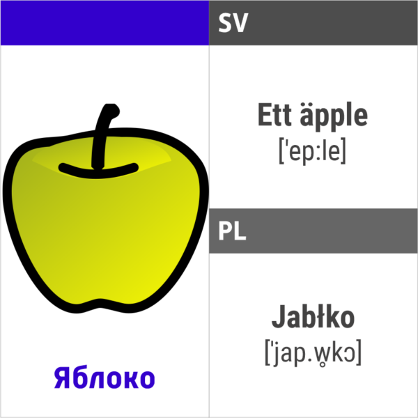 Лексические билингвальные карточки Индиго-полиглот Урок 1 шведский и польский языки